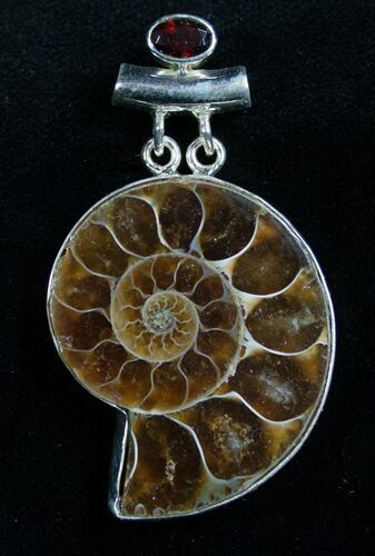 Sterling Silver Ammonite Pendant #7062